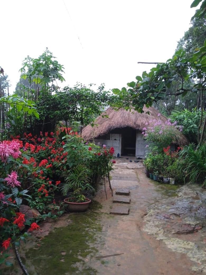 Meikha Homestay Pynursla Exteriér fotografie